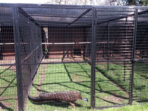 metal animal enclosures uk|zoo enclosures for animals.